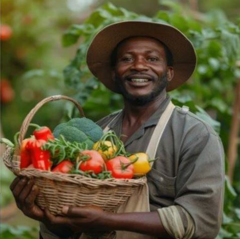 How PMP Frameworks Can Strengthen Africa’s Food Security Initiatives